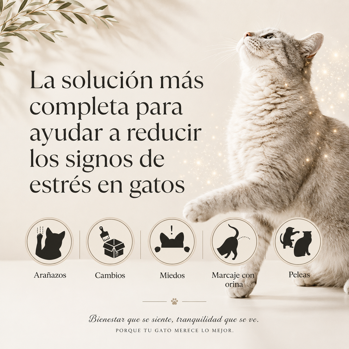 FELIWAY® Optimum Pack 3 Refills 48 ml | Cat Anti-Stress