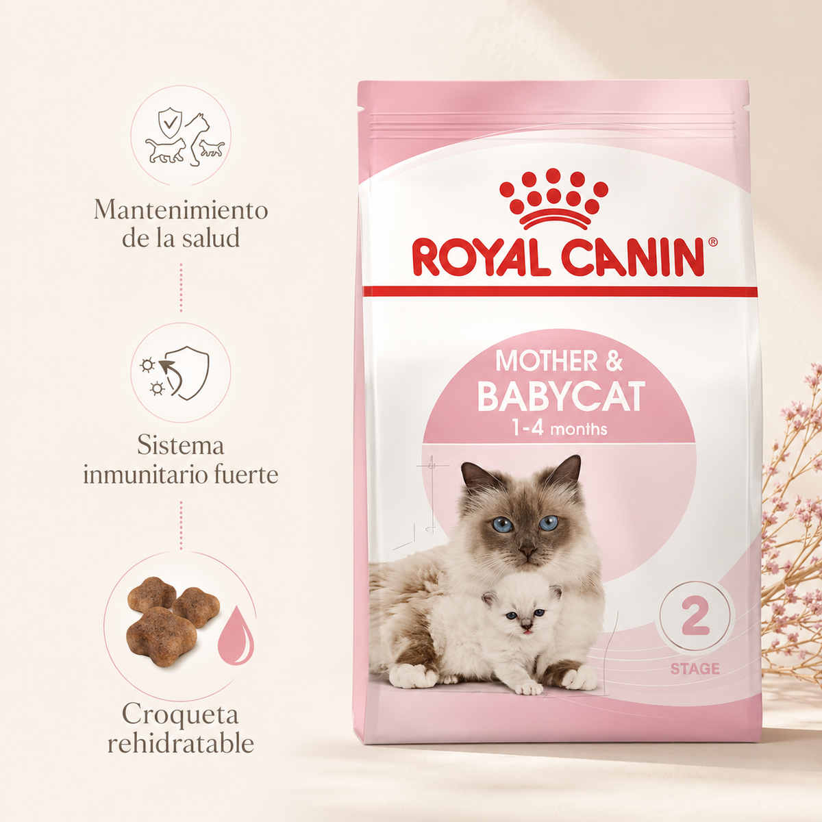 Royal Canin Mother & Babycat 2kg | Cat and Kitten Food