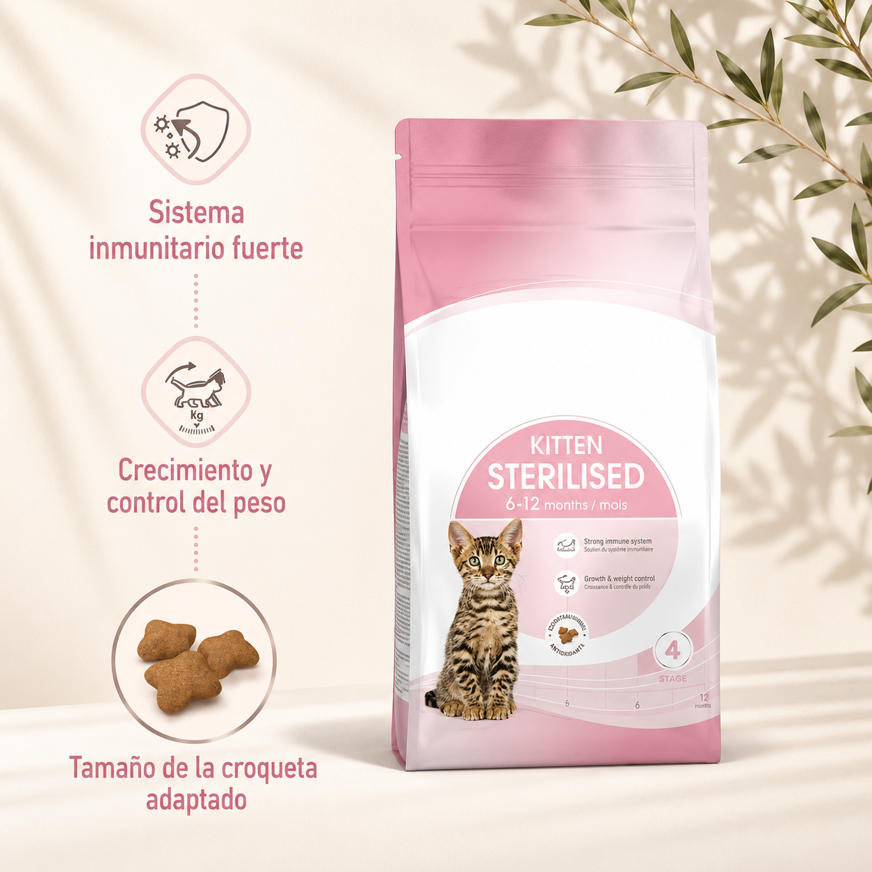 Royal Canin Kitten Sterilised 2 kg | Cat Food for Kittens 6 to 12 Months