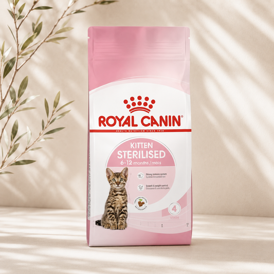 Royal Canin Kitten Sterilised 2 kg | Cat Food for Kittens 6 to 12 Months