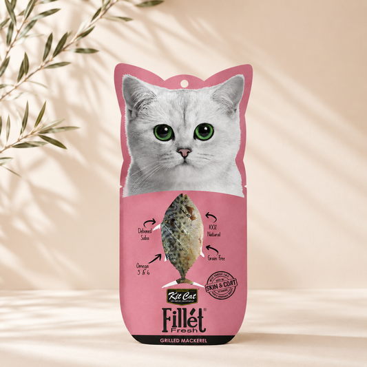 Fresh Grilled Mackerel Fillet | Natural Snack for Cats