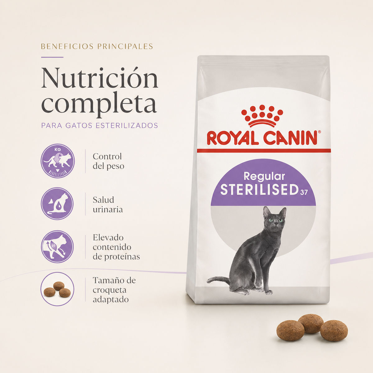Royal Canin Sterilised 37 | Dry Food for Sterilised Adult Cats 4kg