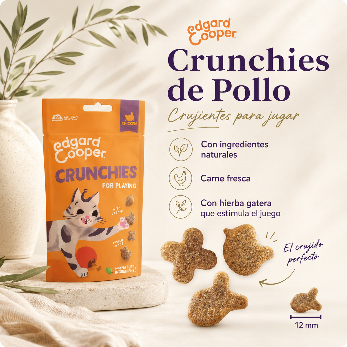 Catnip Chicken Biscuit Snack for Cats – Edgard & Cooper