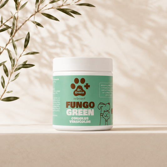 FungoGreen – Coriolus versicolor for Cat Immunity 85 g