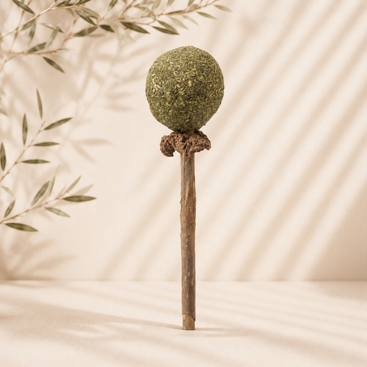 Catnip/Matatabi Lolli with Catnip Ball for Cats